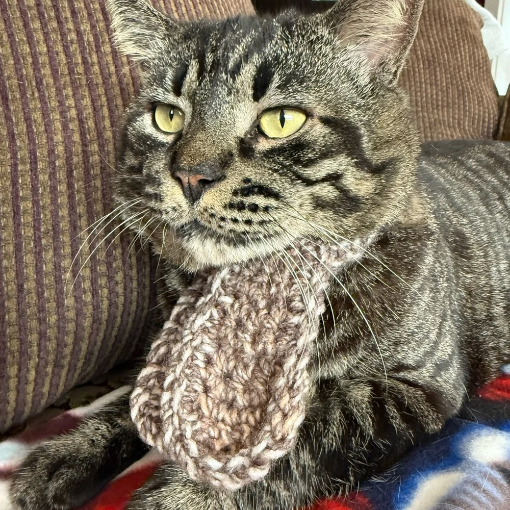 Cozy Knit Cat Scarf - Brown